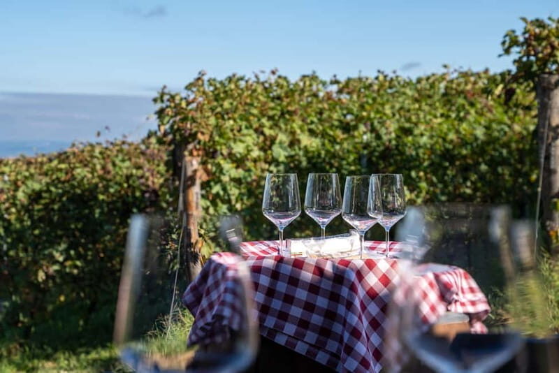 Monforte d'Alba: 7 glasses of Langhe with visit to Winery and Vineyards - Why Choose This Tour?