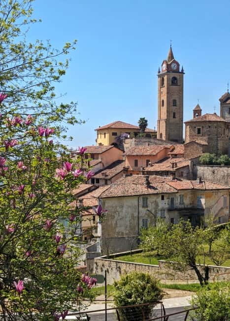 Monforte dAlba: Guided Walking Tour with Wine Tasting - Key Points