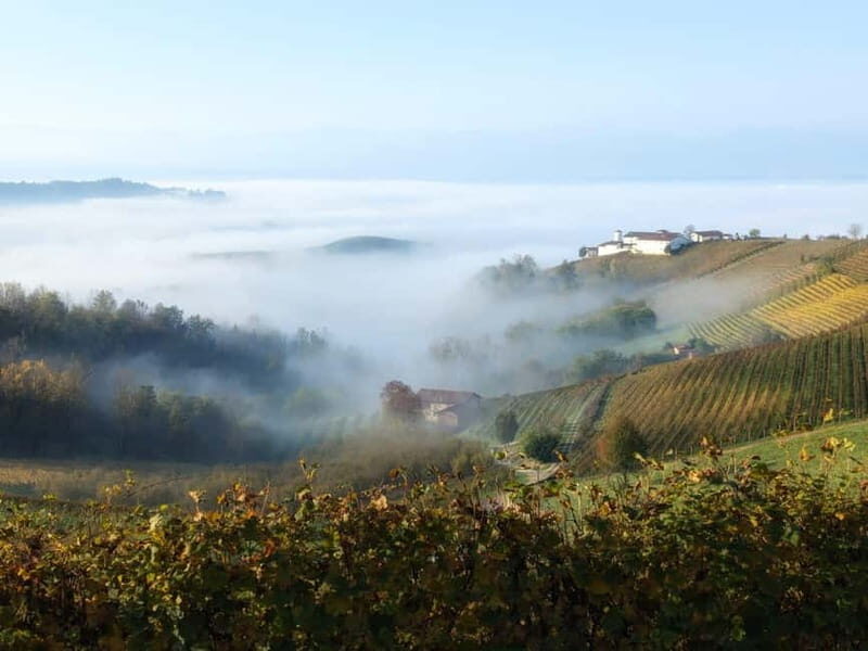 Monforte dAlba: Guided Walking Tour with Wine Tasting - A Closer Look at the Tour Details