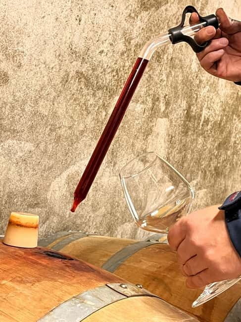 Monforte dAlba: Guided Walking Tour with Wine Tasting - Who Should Consider This Tour?