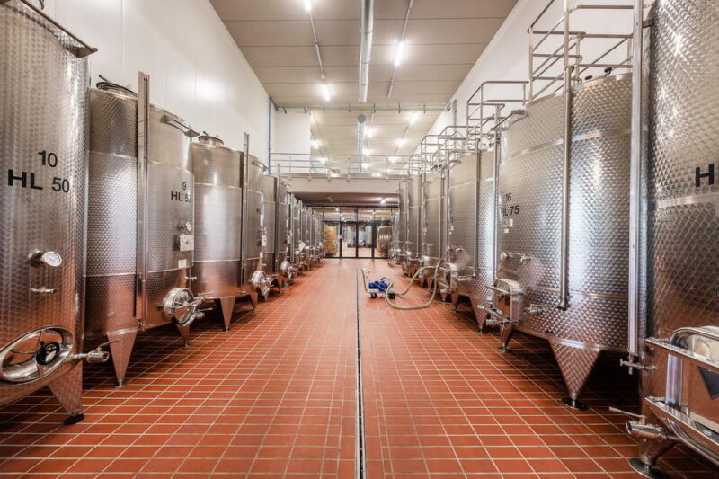monforte-dalba-in-langhe-unforgettable-winery-tasting