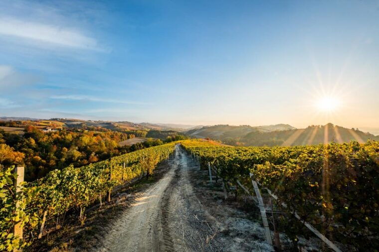 monforte-dalba-in-langhe-unforgettable-winery-tasting