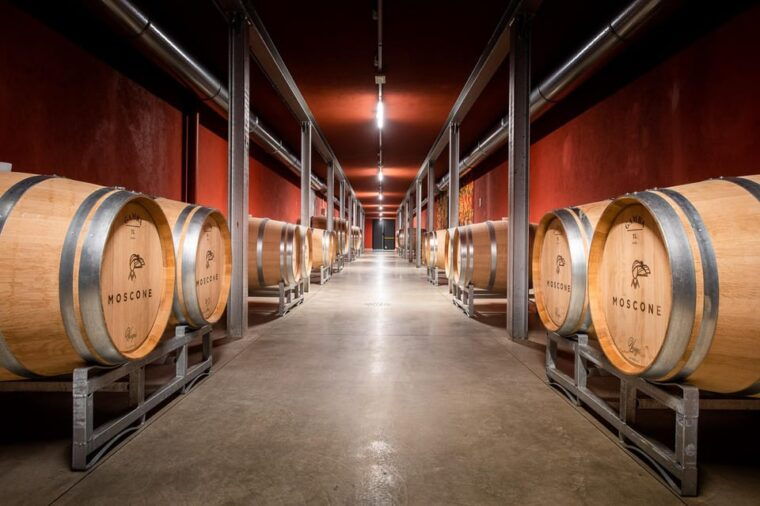 monforte-dalba-in-langhe-unforgettable-winery-tasting
