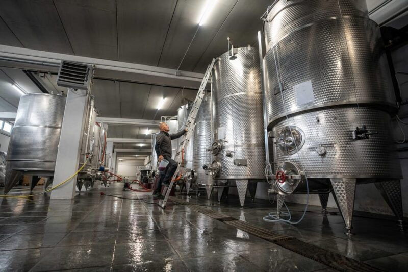 monforte-dalba-tasting-of-iconic-langhe-wines-and-winery-tour