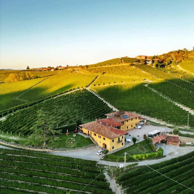 Monforte d'Alba: Wine and Chocolate Tasting Experience - Key Points