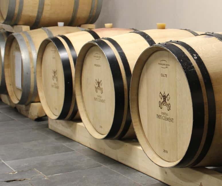 Monforte d'Alba: Wine Tasting, Cellar Visit, and Vineyard Tour - Key Points