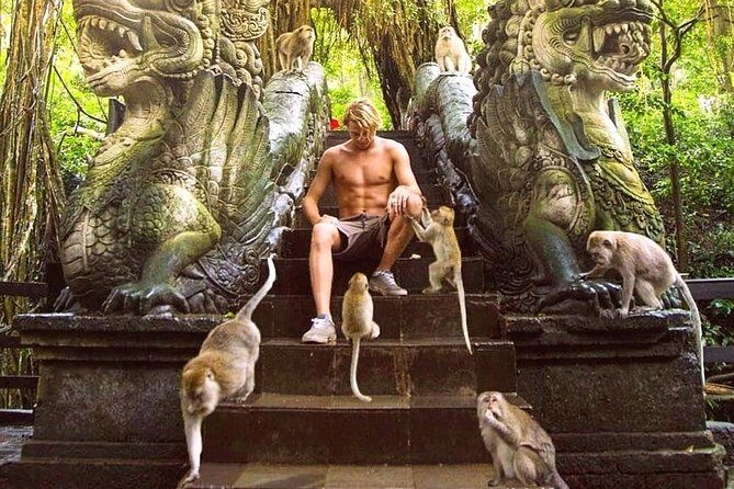 Mongkey Forest , Water Temple , Waterfall and Rice Terraces - What the Tour Includes and What You Should Budget for