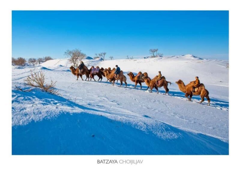 Mongolia: 5-Day Nomadic Winter Adventure & Ice Fishing - Summary: Is This Tour Right for You?