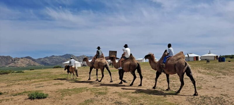 Mongolia: Mini Gobi, Orkhon, and Kharkhorin 4 Day Tour - Exploring Mongolia: What to Expect on the Tour