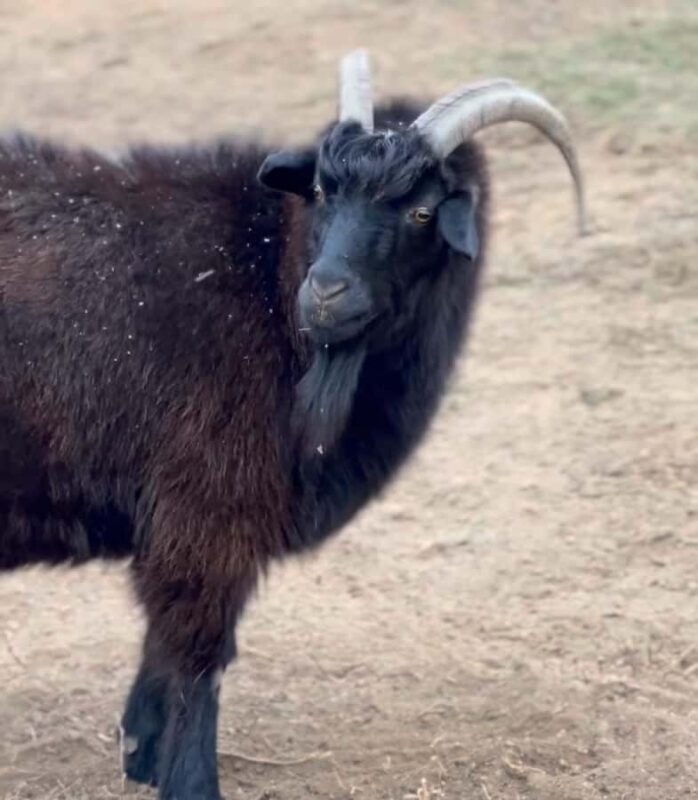 Mongolia: Overnight Nomadic Herders Experience - Who Should Consider This Tour?