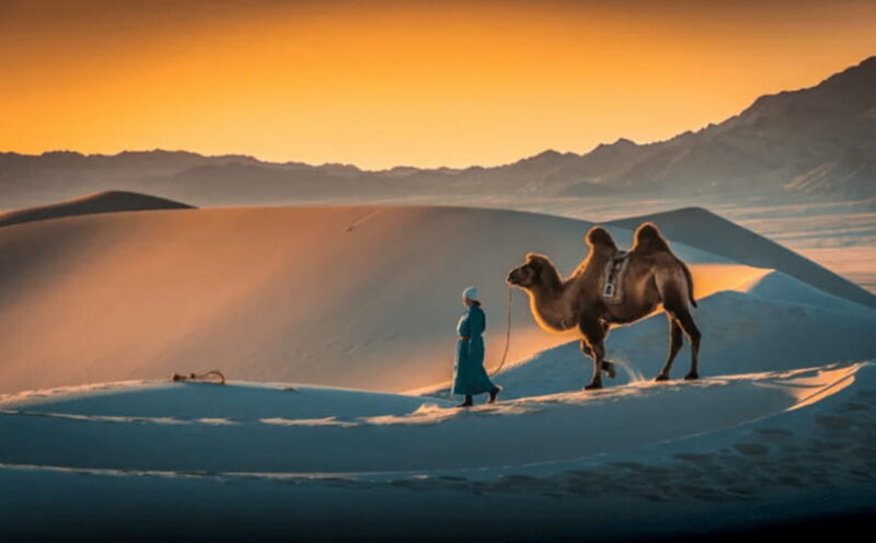 MONGOLIA SOUTH GOBI DESERT: 6 Day Exclusive Private Tour - Practical Details and Packing Tips