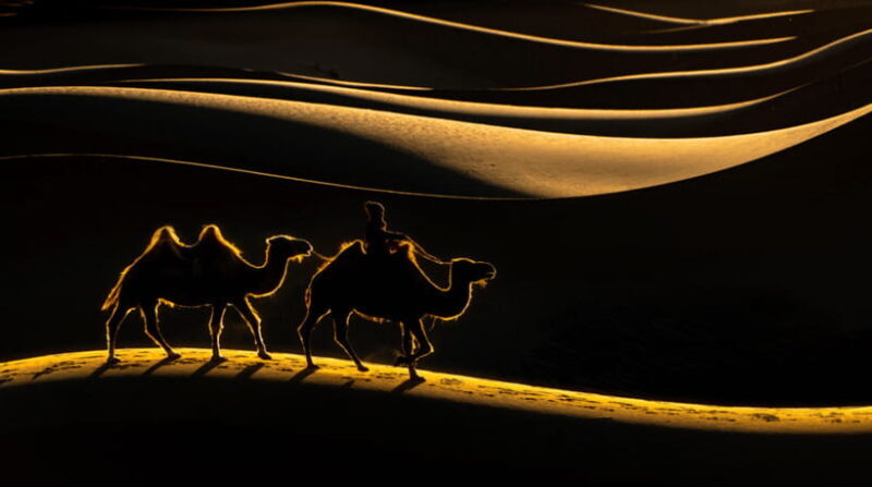 MONGOLIA SOUTH GOBI DESERT: 6 Day Exclusive Private Tour - Additional Info and Booking Flexibility