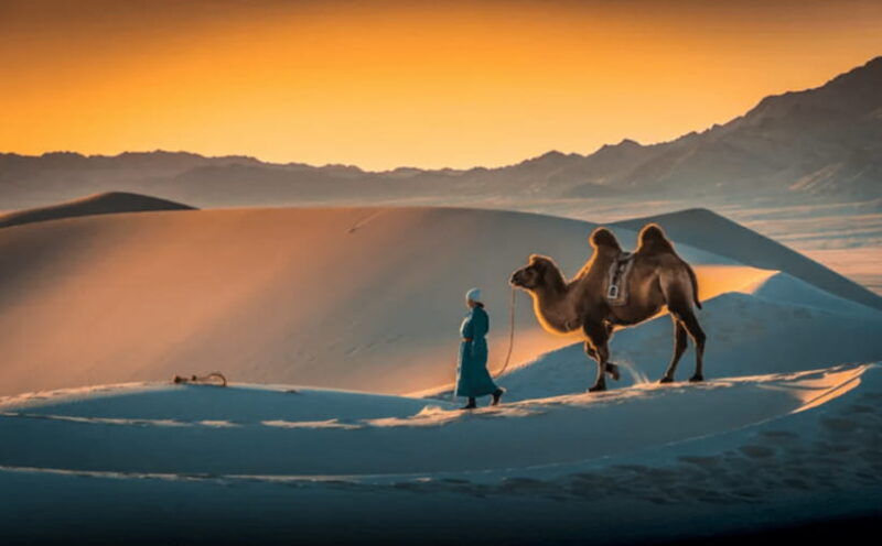 mongolia-south-gobi-desert-6-day-exclusive-private-tour