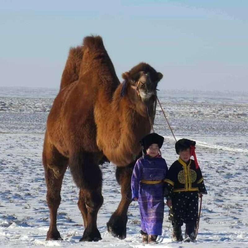 Mongolia: Thousand Camel Festival Tour 3 nights/4 days - Frequently Asked Questions