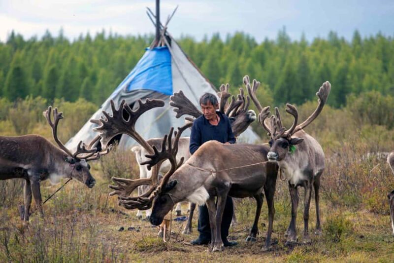 Mongolia: Tsaatan Tribe and Lake Khövsgöl 8-Day Tour - An Overview of What to Expect