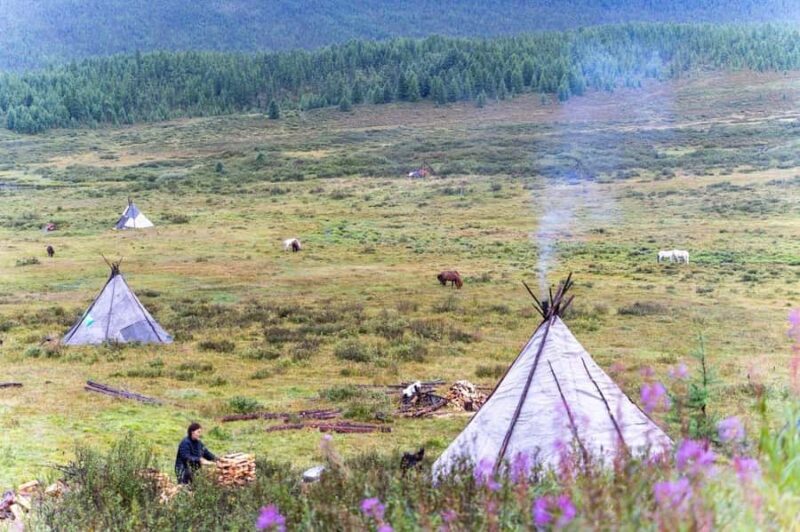 Mongolia: Tsaatan Tribe and Lake Khövsgöl 8-Day Tour - Detailed Itinerary Breakdown