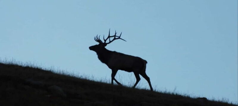 Mongolia: Winter Adventure Tour/Central Mongolia - FAQ