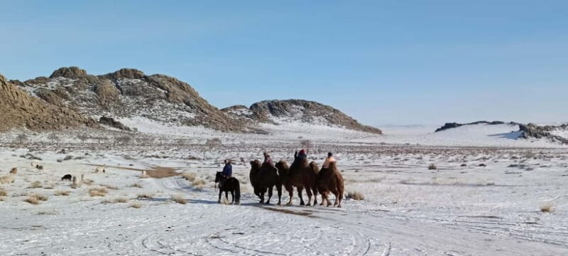 Mongolia : Winter Gobi Desert and Terelj National Park - FAQ