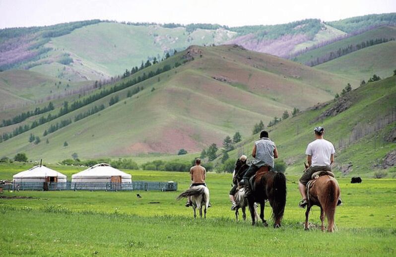 MONGOLIAN NOMADS: 2-Day Horse Trekking & Cow Milking Tour - What’s Included and What to Consider