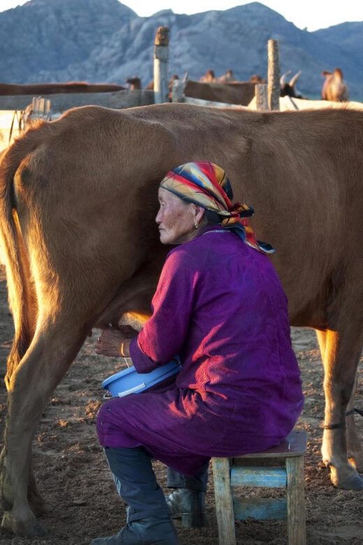 MONGOLIAN NOMADS: 2-Day Horse Trekking & Cow Milking Tour - Who Will Love This Tour?