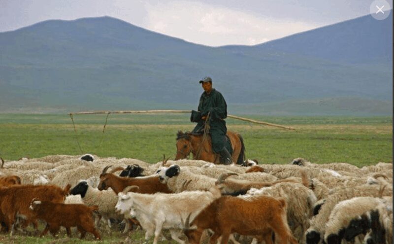 MONGOLIAN NOMADS: 2-Day Horse Trekking & Cow Milking Tour - Final Thoughts