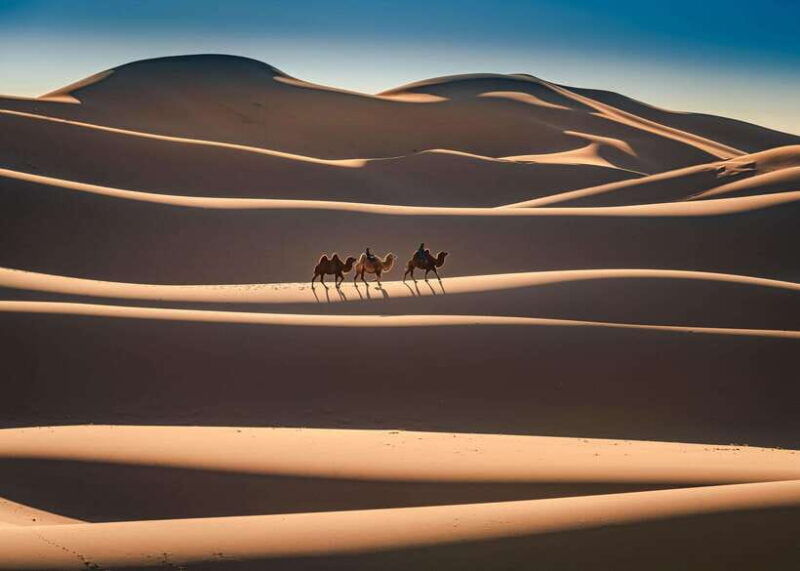 mongolian-odyssey-throughout-the-gobi-10-days