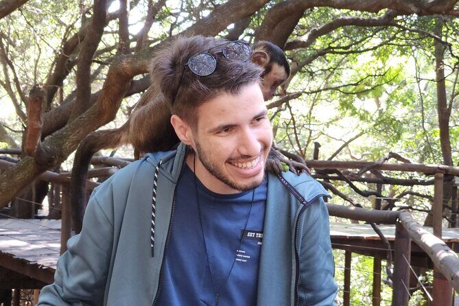 Monkey and Lemur Interaction + Wooden Bridge Forest Walk - What Reviewers Say
