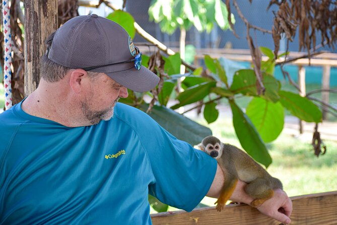 monkey-encounter-and-zip-line-tour-from-amber-cove-and-taino-bay
