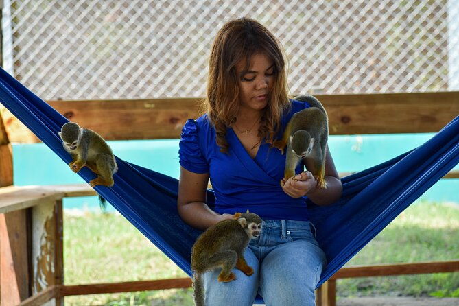 monkey-encounter-and-zip-line-tour-from-amber-cove-and-taino-bay