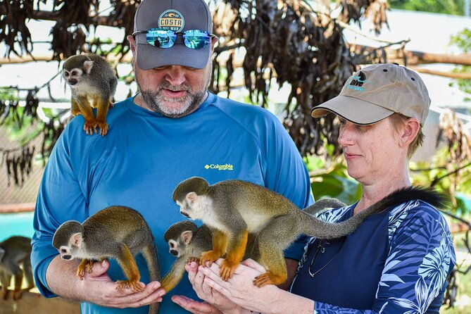 monkey-encounter-and-zip-line-tour-from-amber-cove-and-taino-bay