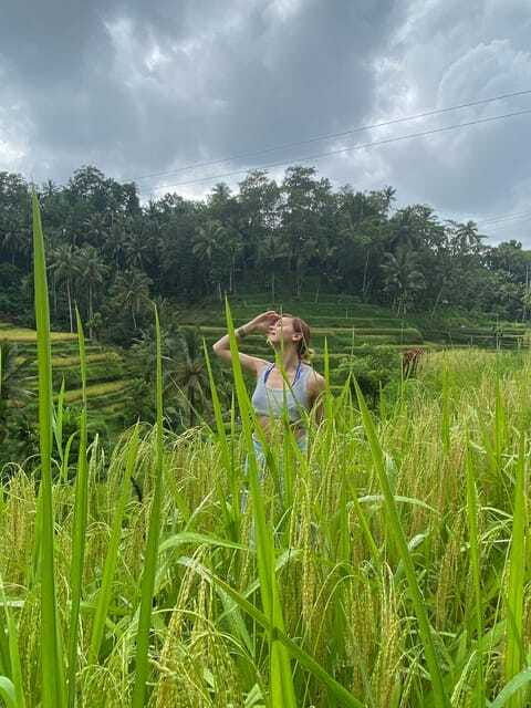 monkey-forest-waterfall-temple-and-rice-terrace