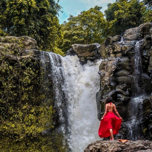 monkey-foresttemple-waterfall-rice-terrace-art-villages