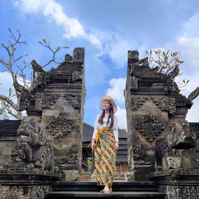 monkey-foresttemple-waterfall-rice-terrace-art-villages