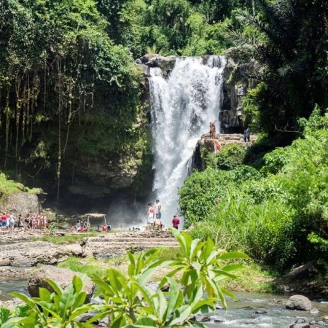 monkey-foresttemple-waterfall-rice-terrace-art-villages