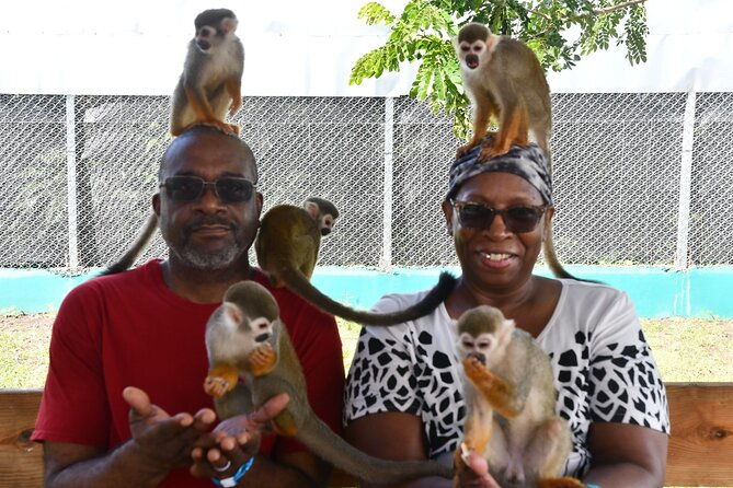 monkey-home-and-damajagua-waterfalls