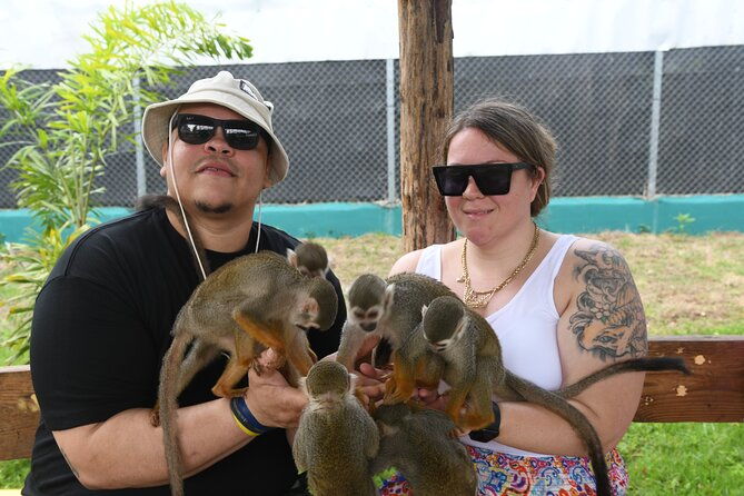 monkey-home-and-damajagua-waterfalls