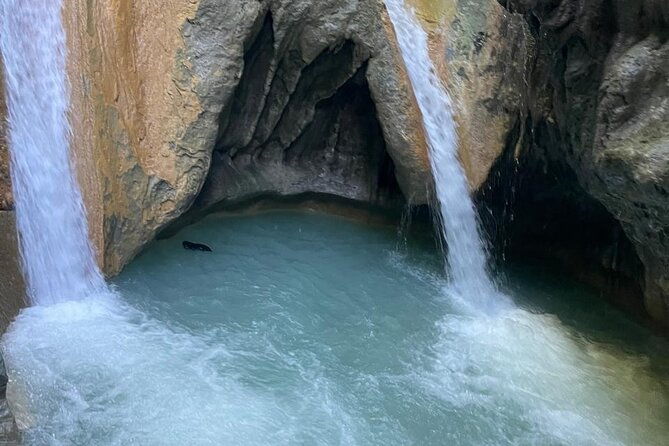 monkey-home-and-damajagua-waterfalls