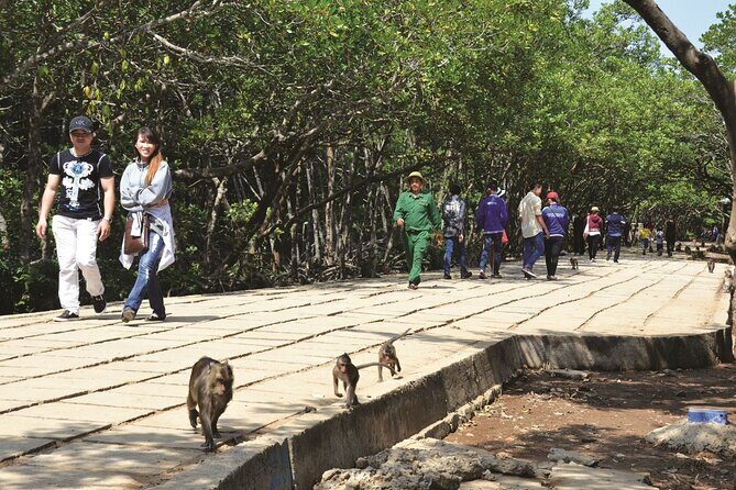 Monkey Island and Mangrove Forest Eco Tour from Ho Chi Minh - Discovering Vietnam’s Wild Side: Monkey Island and Mangrove Forest Eco Tour from Ho Chi Minh