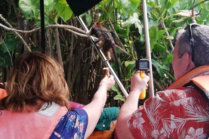 monkey-island-gatun-lake-adventure