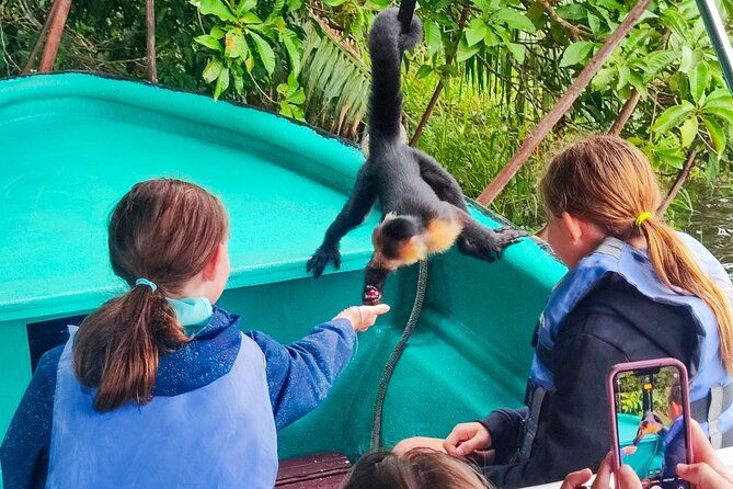 monkey-island-tour-from-riu-playa