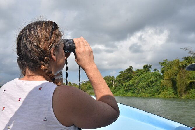 monkey-river-wildlife-encounters-and-manatee-watch