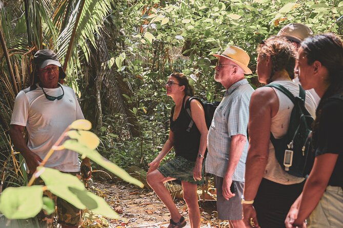 monkey-river-wildlife-encounters-and-manatee-watch