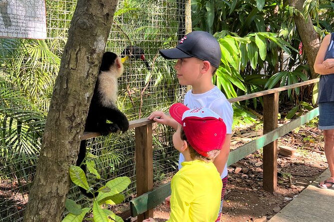 monkey-sloth-park-zipline-and-city-tour-in-roatan