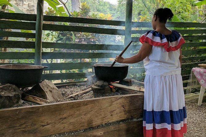 monkeyland-and-plantation-safari-from-la-romana