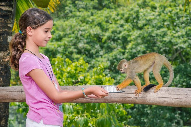 monkeyland-and-plantation-safari-from-la-romana