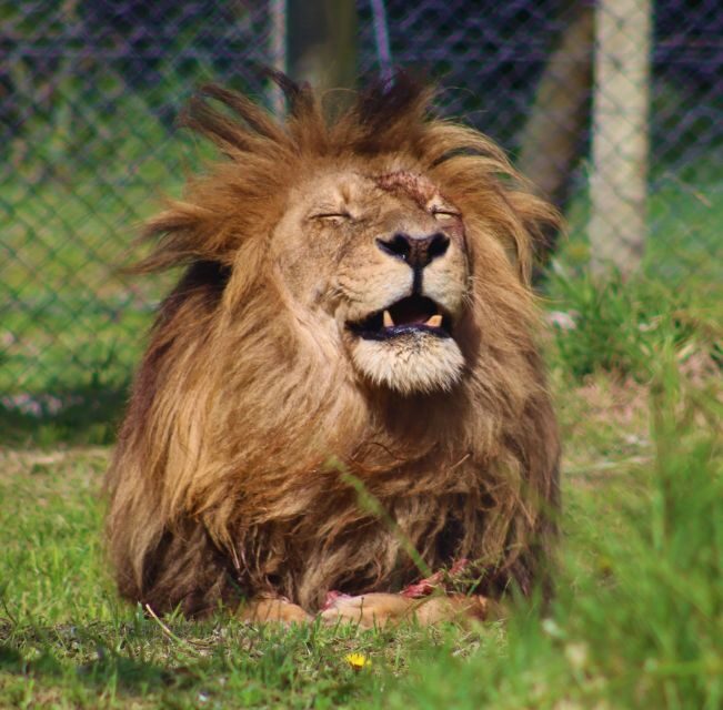 Monkeyland, Birds of Eden, Jukani - Animal Sanctuaries - Final Thoughts