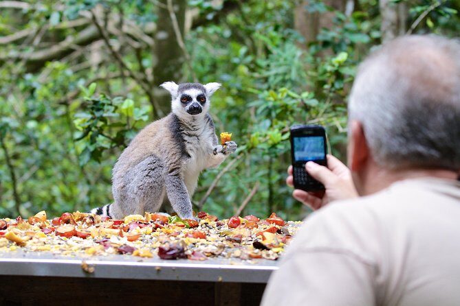 Monkeyland Guided Tour in Plettenberg Bay - Exploring the Monkeyland Experience