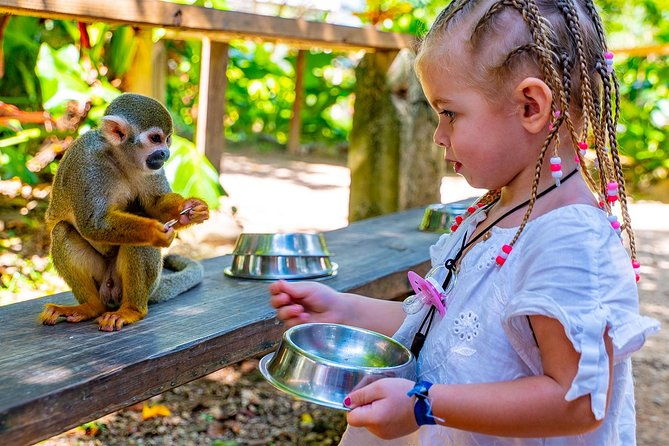 monkeyland-plantation-safari-full-day-from-juan-dolio