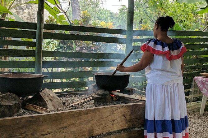 monkeyland-plantation-safari-full-day-from-juan-dolio