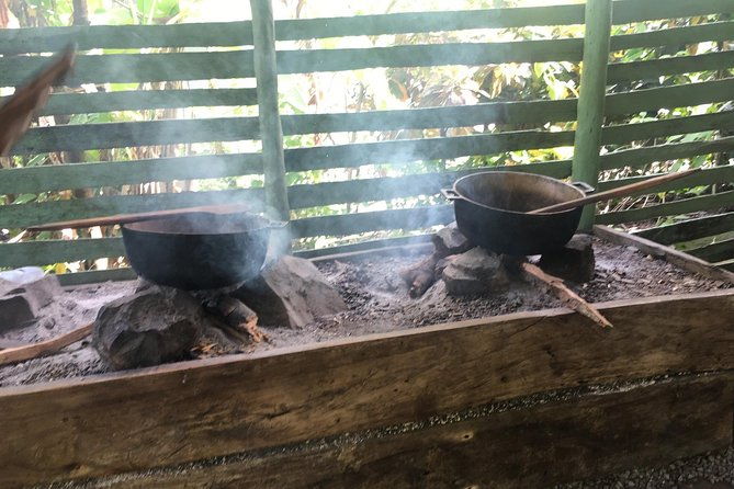 monkeyland-plantation-safari-full-day-from-juan-dolio